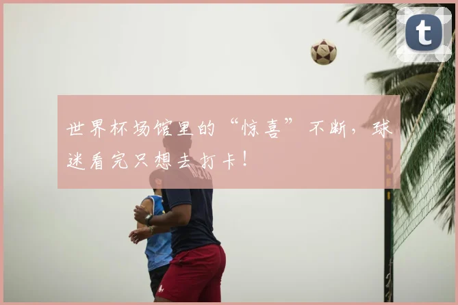 世界杯场馆里的“惊喜”不断，球迷看完只想去打卡！