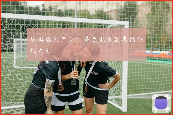 从游戏到产业:芬兰电竞发展的独到之处!