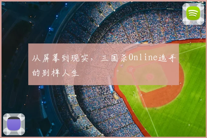 从屏幕到现实,三国杀Online选手的别样人生